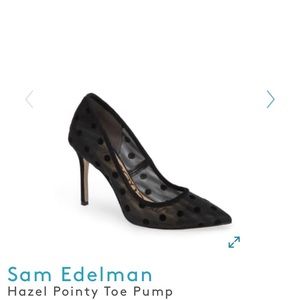 am Edelman Hazel pointy pump